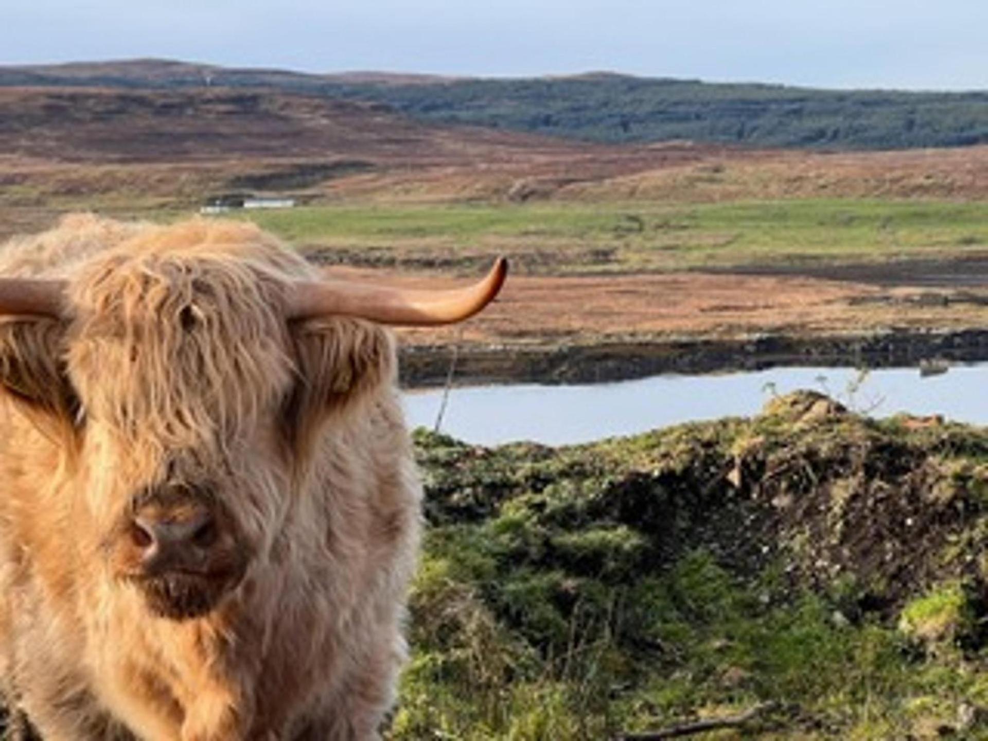 No 4 Old Post Office Row Isle Of Skye - Book Now! Villa Eyre Dış mekan fotoğraf